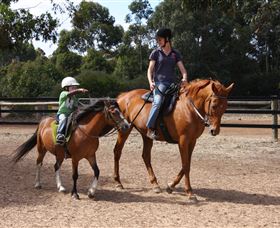 Mirravale Horse Riding School - Accommodation BNB 1