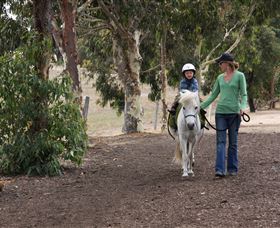 Mirravale Horse Riding School - Accommodation BNB 2