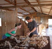 Peron Homestead - Accommodation BNB
