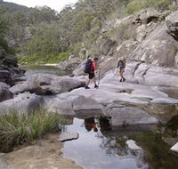 Nadgee Wilderness Walk - Accommodation BNB