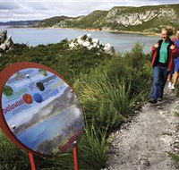 Rocky Cape National Park - Accommodation BNB