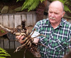 Lobster Ponds - Accommodation BNB 0