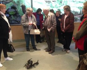 Lobster Ponds - Accommodation BNB 1