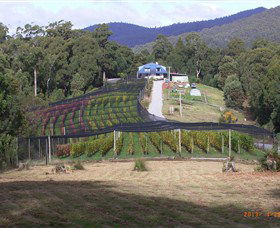 Motton Terraces - Accommodation BNB 0