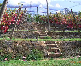 Motton Terraces - Accommodation BNB 2