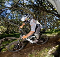All Terrain Cycles - Accommodation BNB