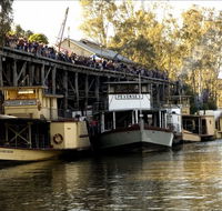 Murray River Paddelsteamers - Echuca Paddlesteamers - Accommodation BNB