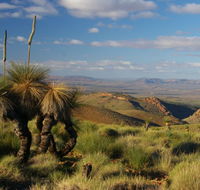 4WD Aussie Outback Adventures - Accommodation BNB