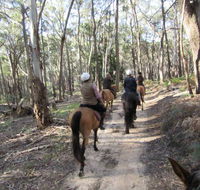 Silver Brumby Trails - Accommodation BNB