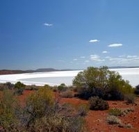 Gawler Ranges Wilderness Safaris - Accommodation BNB