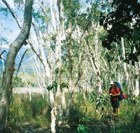 Thorsborne Trail Hinchinbrook Island National Park - Accommodation BNB
