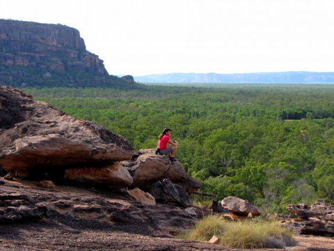 Echidna Walkabout Nature Tours - Accommodation BNB 21