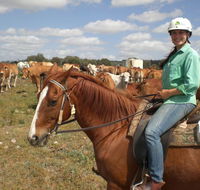 Myella Farm Stay Tours - Accommodation BNB