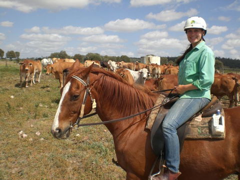 Myella Farm Stay Tours - Accommodation BNB 0