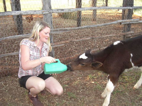 Myella Farm Stay Tours - Accommodation BNB 1