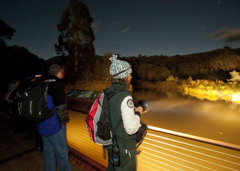 Naturewise At Tidbinbilla - Accommodation BNB 1