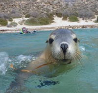 Calypso Star Charters - Accommodation BNB