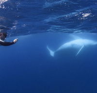 Sunreef Mooloolaba - Accommodation BNB