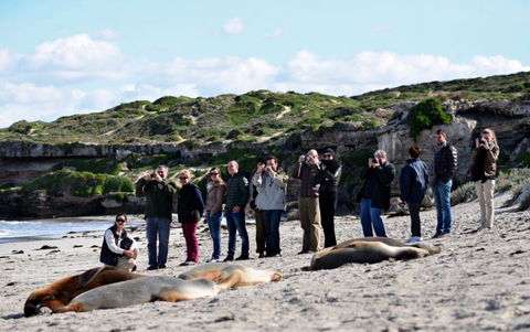 Kangaroo Island Odysseys - Accommodation BNB 25
