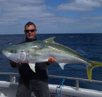 Reef Encounters Fishing Charters. - Accommodation BNB