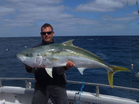 Reef Encounters Fishing Charters. - Accommodation BNB 3