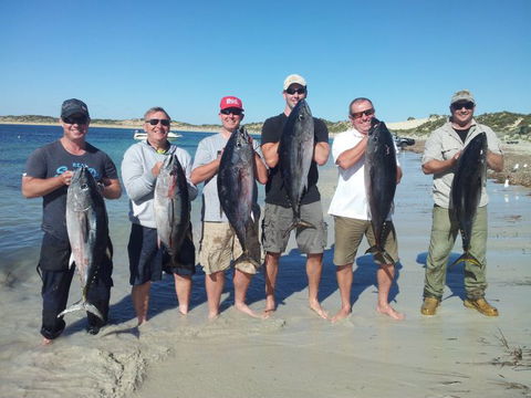 Reef Encounters Fishing Charters. - Accommodation BNB 10