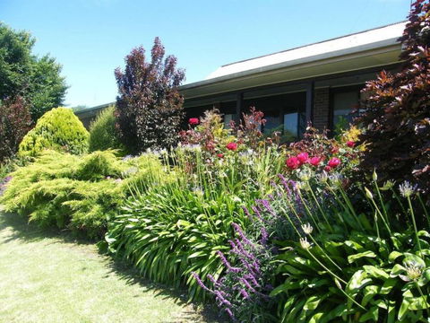 Boomers Guest House Hamilton - Accommodation BNB 6