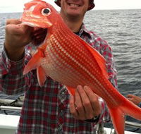 Goin' Off Safaris - Accommodation BNB