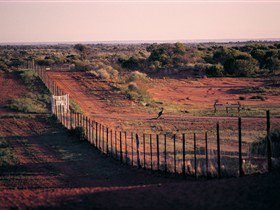 Tri State Safaris - Accommodation BNB 4