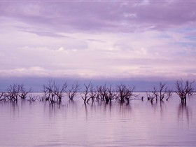 Tri State Safaris - Accommodation BNB 8