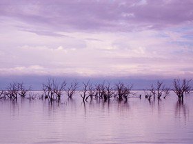 Tri State Safaris - Accommodation BNB 9