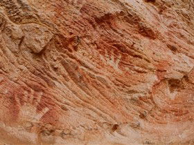 Tri State Safaris - Accommodation BNB 10