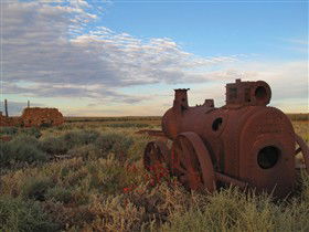 Tri State Safaris - Accommodation BNB 11