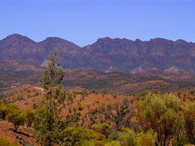 Tri State Safaris - Accommodation BNB 16