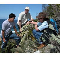 Sapphire Coast Ecotours - Accommodation BNB