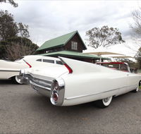 Hunter Valley Cadillacs - Accommodation BNB