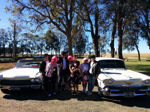Hunter Valley Cadillacs - Accommodation BNB 1