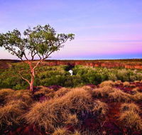 Island Stack Boodjamulla Lawn Hill National Park - Accommodation BNB