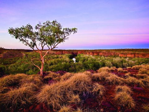 Island Stack, Boodjamulla (Lawn Hill) National Park - Accommodation BNB 0