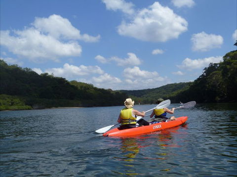 Bundeena Kayaks - Accommodation BNB 0