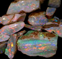 Arid Areas Tours - Accommodation BNB