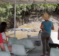 Whitsunday Crocodile Safari - Accommodation BNB