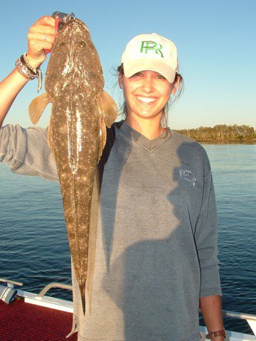 Reel Time Charters Yamba - Accommodation BNB 2