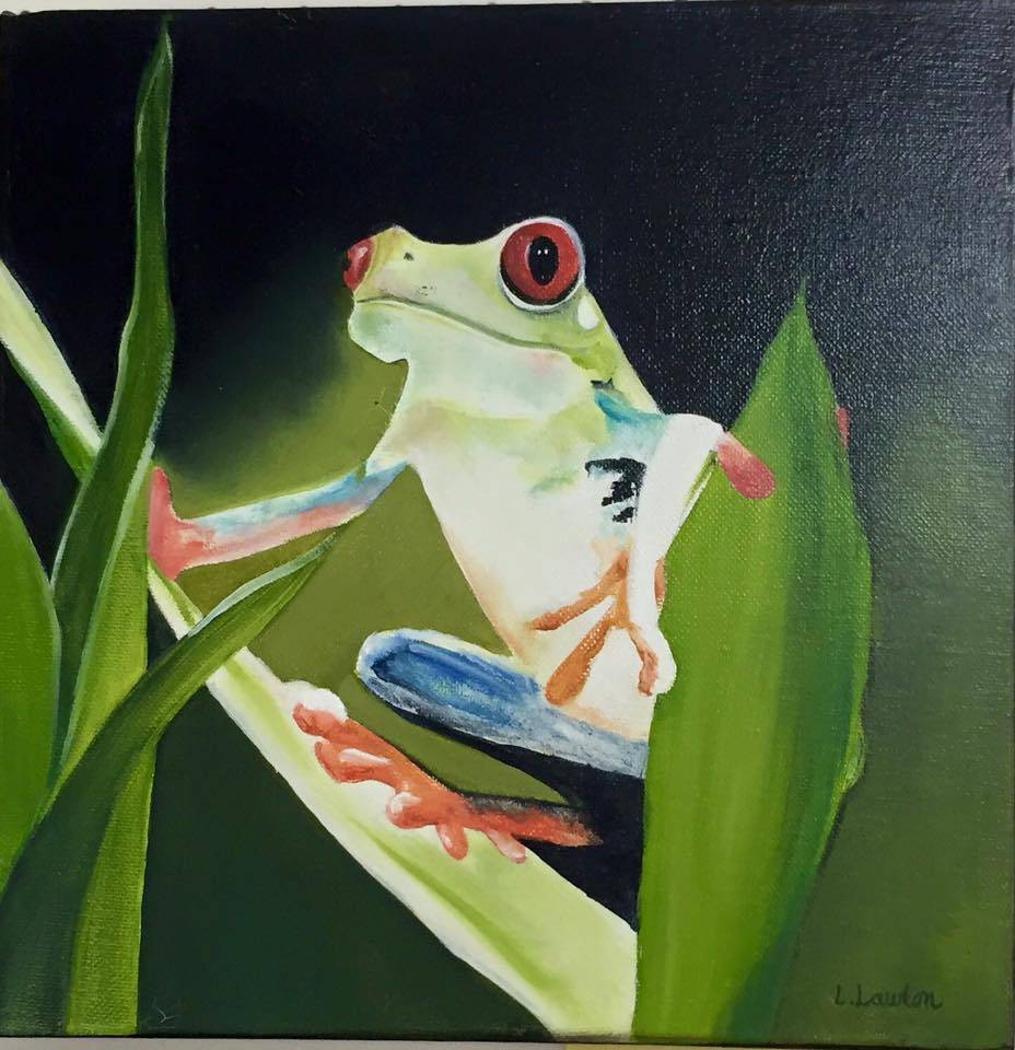 Gorokan NSW Accommodation BNB