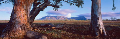 Nissarana Galleries Noosa - Accommodation BNB 1