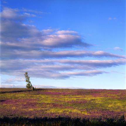 Nissarana Galleries Noosa - Accommodation BNB 2