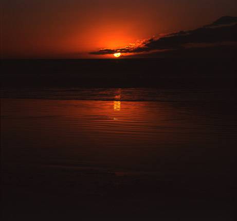 Nissarana Galleries Noosa - Accommodation BNB 3