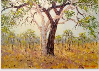 Peter Lawson Fine Art - Accommodation BNB 1