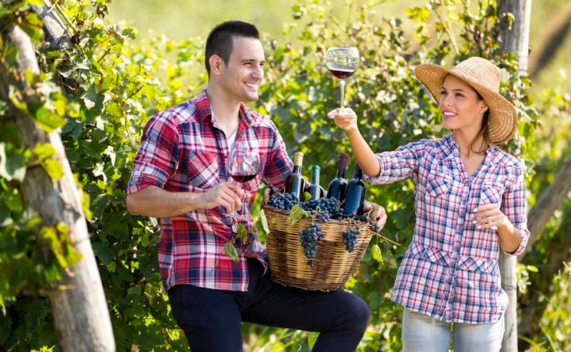 Central Bucca NSW Accommodation BNB