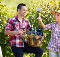 Two Tails Wines - Accommodation BNB